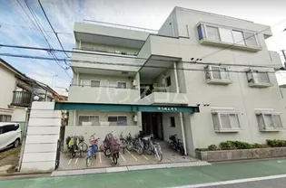 ほうれんそうの画像