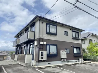 ベルベデーレの画像