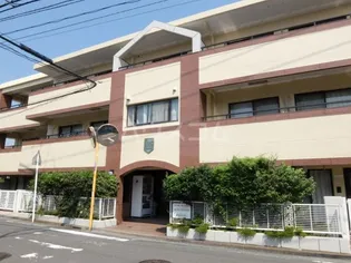 ヒルトップワレリの画像