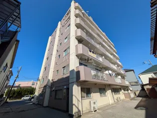 コートアオイの画像