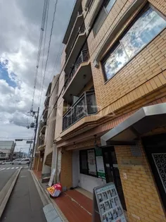 シャロンISOGAWAの画像