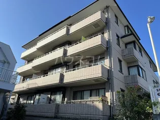 アルバテヅカの画像