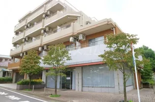 シューティングスターの画像