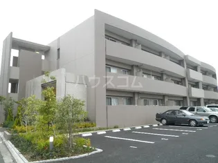 サンライズ オモテの画像