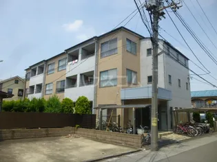 Mコート リオンの画像