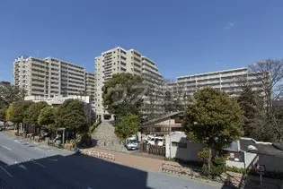 シティコート目黒4号棟の画像