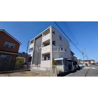 ライラックの画像