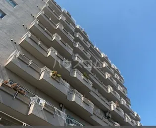 グリーンビレッジ豊玉の画像