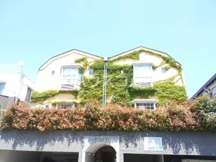 NEWTOWNHILLSの画像