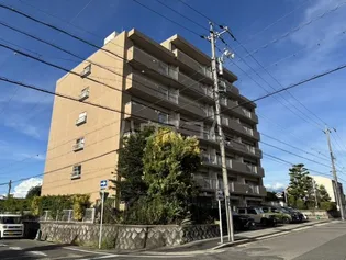 エルスタンザ原の画像