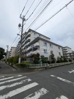 コーポ南越谷Aの画像