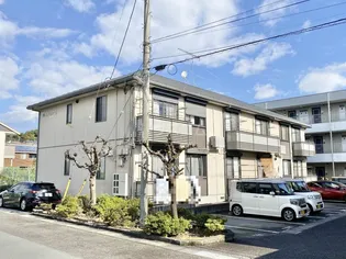 カメリアAの画像