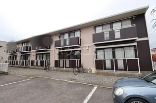 はなみずきの画像