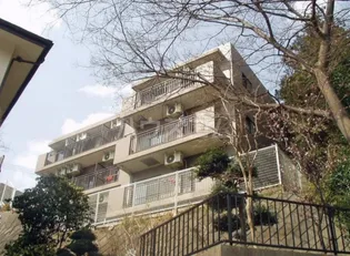 シーエスハイツの画像