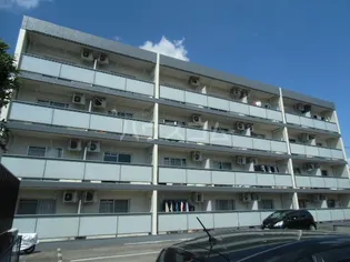 ソフィアライトの画像