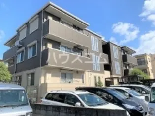 グリシンヌカーサの画像