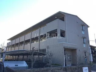 ローテ ローゼの画像