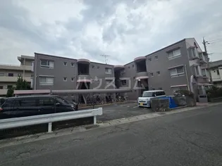 アルカサール幸の画像