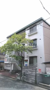 ハイムミズキの画像