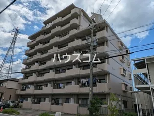 サザンコスモの画像