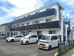 カサブランカトガリの画像