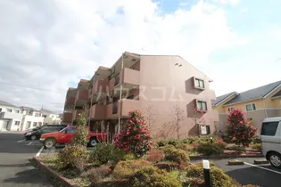 シャトルコートの画像