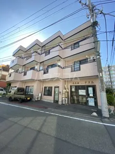 ハイムタマルの画像