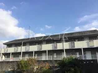 ストークス藤狭の画像