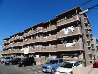 エクセルシオールIIの画像