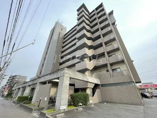 NORNⅡ稲本の画像