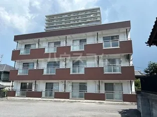 ピオンズ羽根の画像