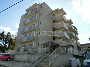 シェモアの画像