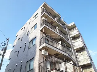 ブルーパロットアヤメの画像