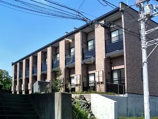 レオネクストフィーレの画像