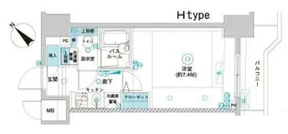 フェニックス横濱関内BAY GAIA【5階】の間取り