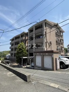 グリーンフォレストの画像