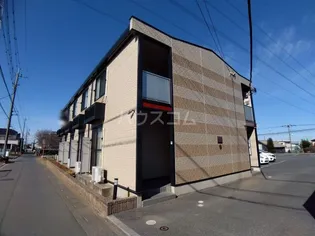 キャノーラの画像