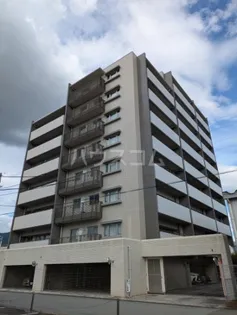 サザンコートの画像