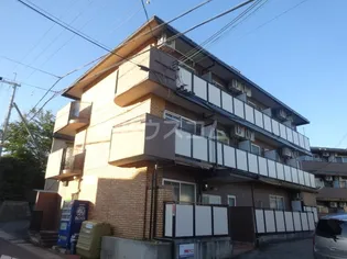 ロイヤルパレス大枝【301号室】の外観