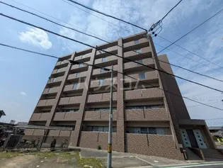 フルール ド スリジェの画像