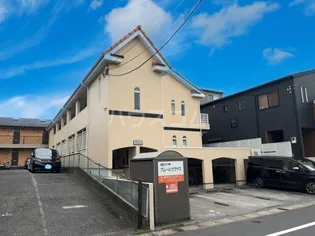 アムールウラヤスの画像