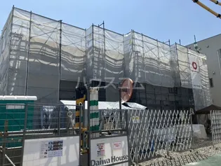 アムール シェモアの画像