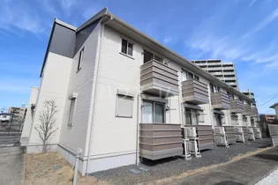 スクエアコートの画像