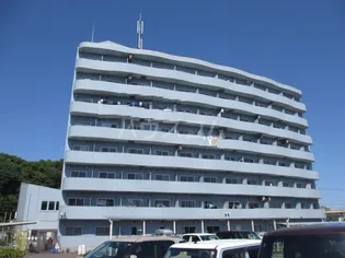 エストレージャ湘南の画像
