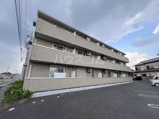 QUEEN'S ISLANDの画像