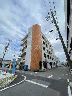 ハイデンス伊代の画像