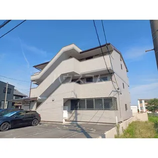 エクセレント ヒロナガの画像