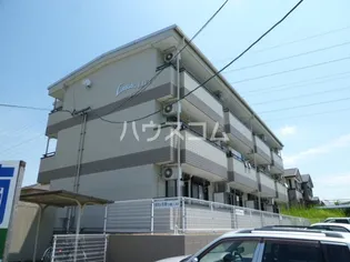 LIMPIA LIVEの画像