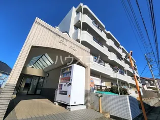 フラットハガの画像