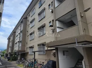 照栄ハイツの画像